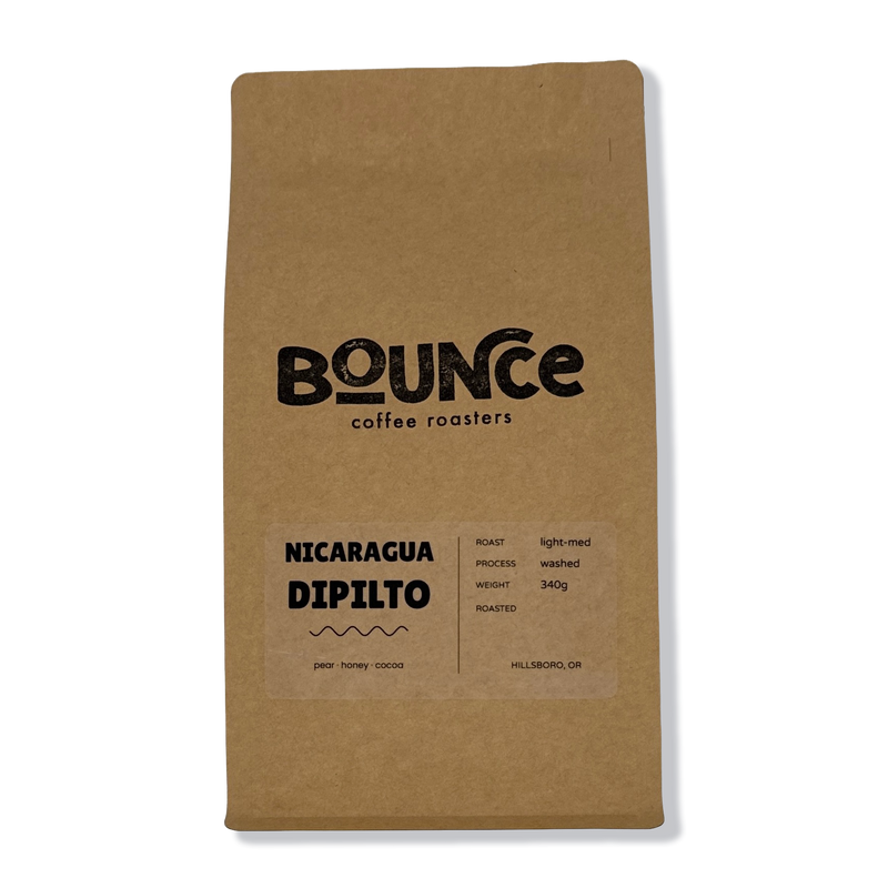 Nicaragua Dipilto